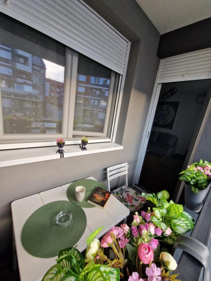 Apartman Astra Sremska Mitrovica Buitenkant foto